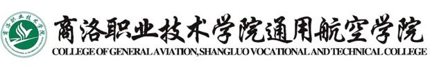2026年CIIT高级职业技术水平认